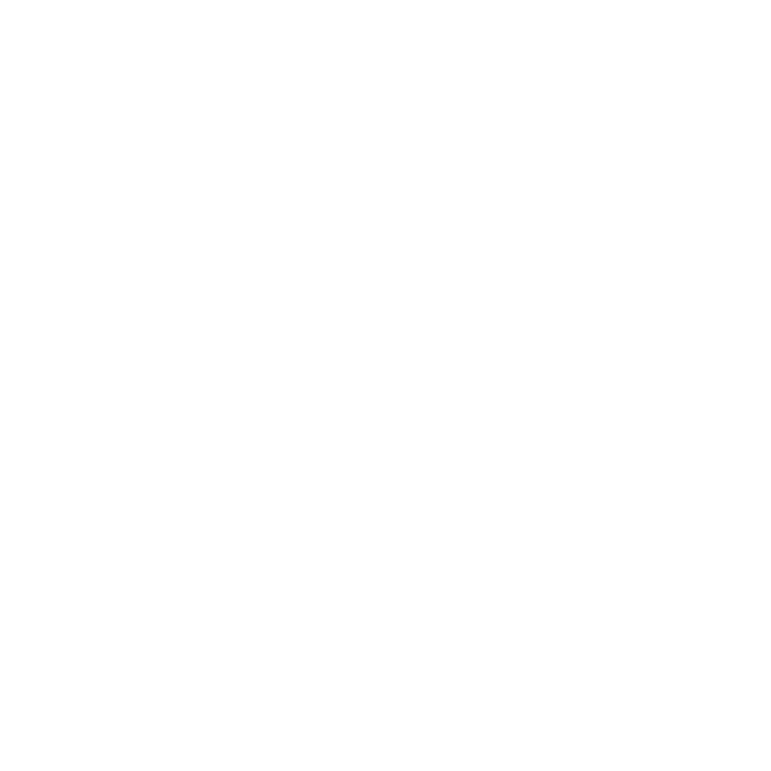 double chevron icon facing right in white.