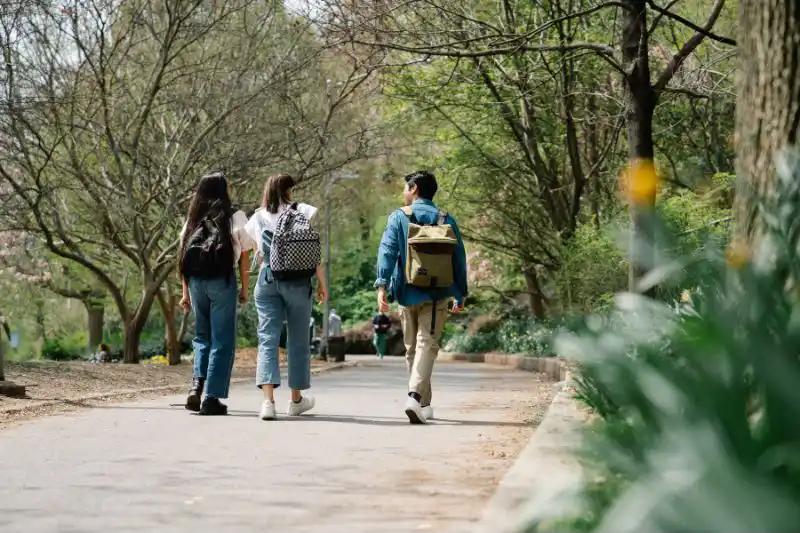 A photo of three people walking down a tree-lined path in a park, with backpacks and casual clothes.