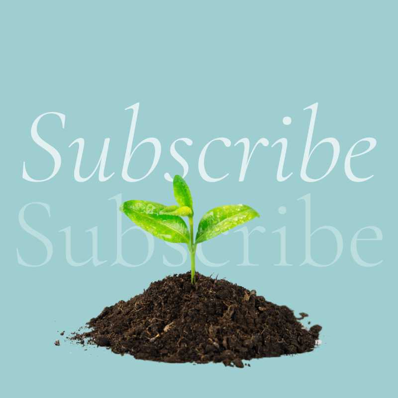Subscribe now to get the latest news and events for Green Outreach
