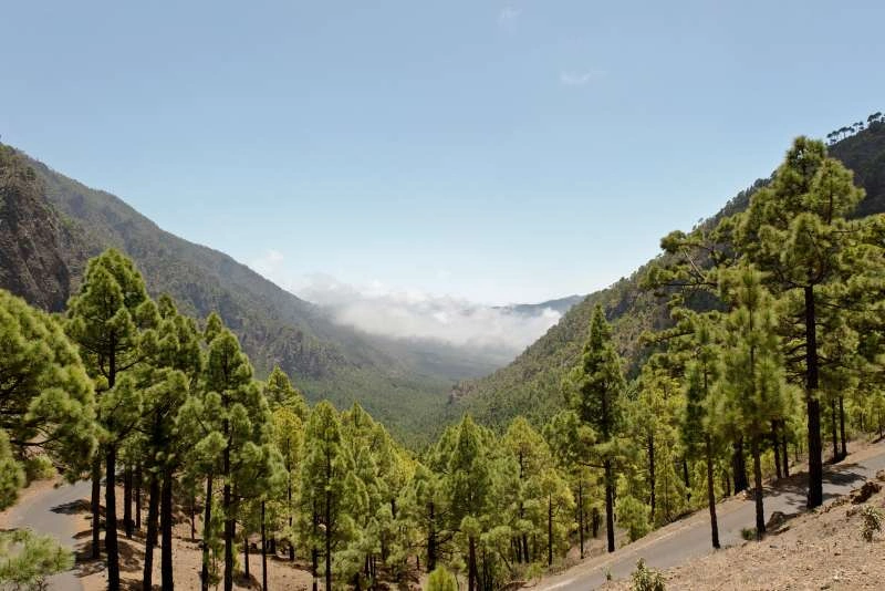 Photograph positive changes, such as clean transportation, solar-powered homes, or recycling systems in action.