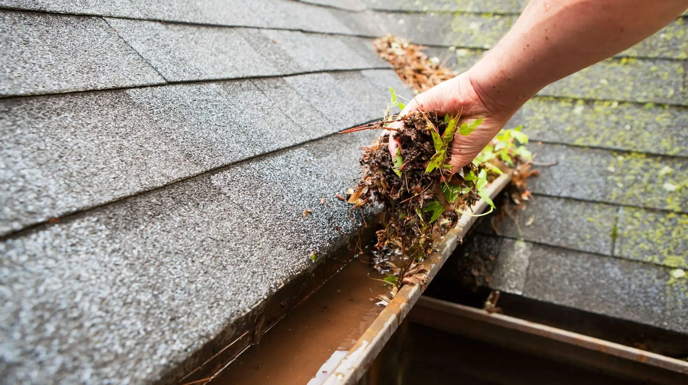 Cleaning gutters and storm drains prevents water pollution and flooding. Remove debris, dispose of waste properly, and help protect local waterways in your community.