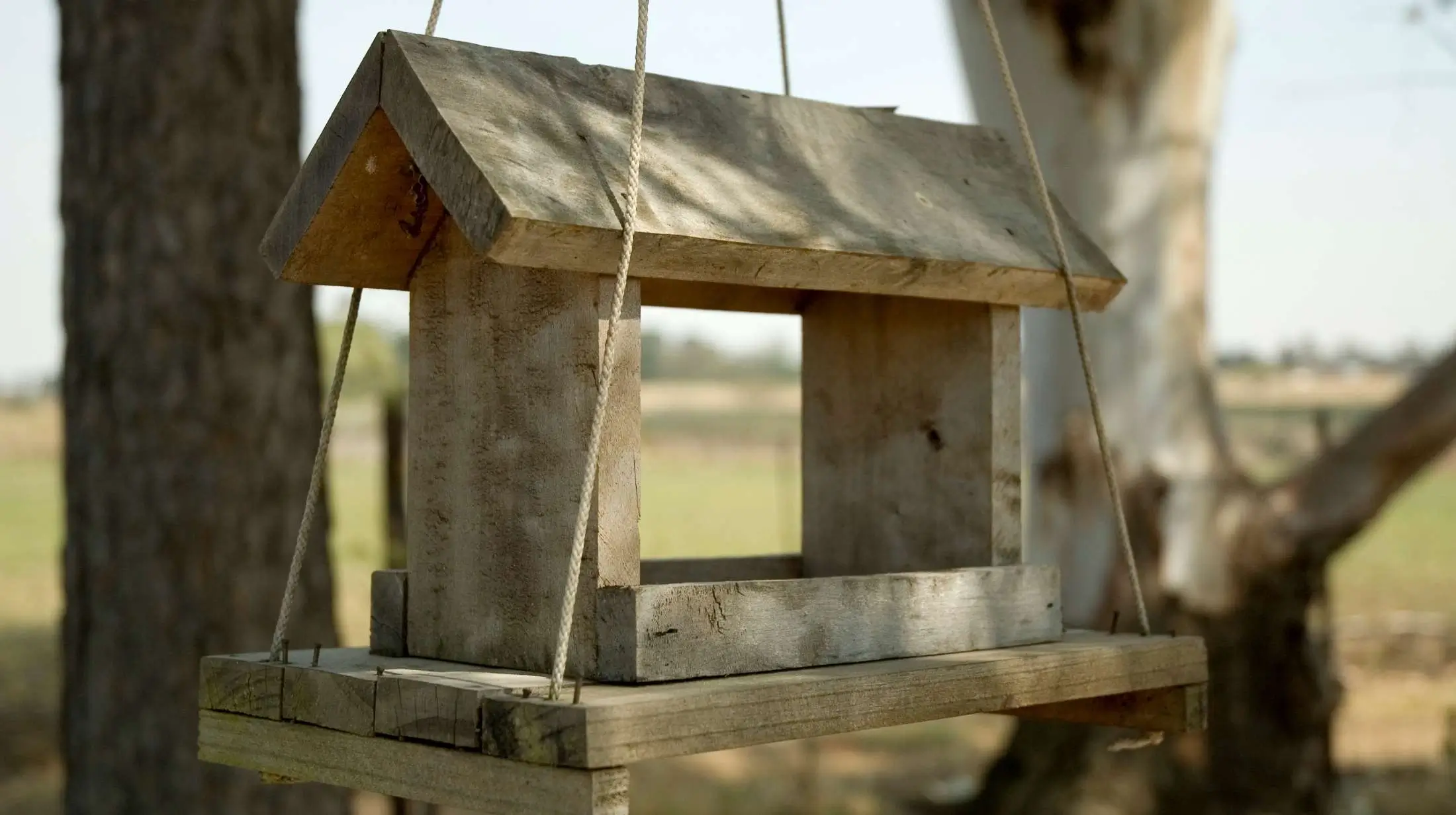 Building a DIY bird feeder supports local bird populations and biodiversity. Use simple materials like bottles or pinecones, fill with birdseed, and enjoy watching birds thrive.