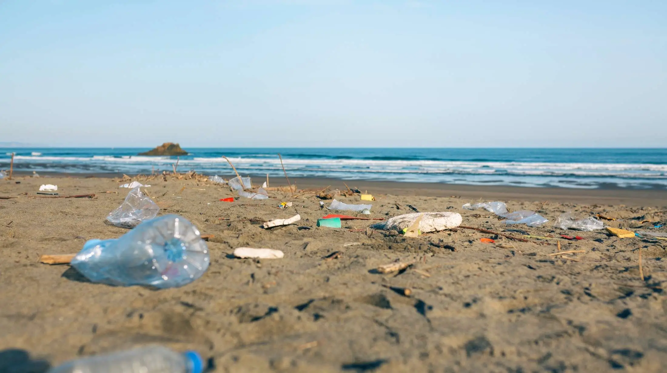 Beach cleanups protect marine life and reduce ocean pollution. Help keep unwanted materials out of our oceans and preserve these vital habitats to ensure cleaner, safer oceans and beaches.