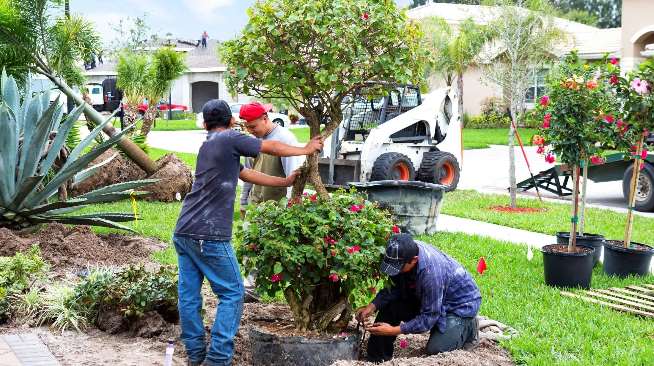 Planting a tree combats climate change, improves air quality, and supports wildlife. Help create a positive impact on the environment by planting a tree.