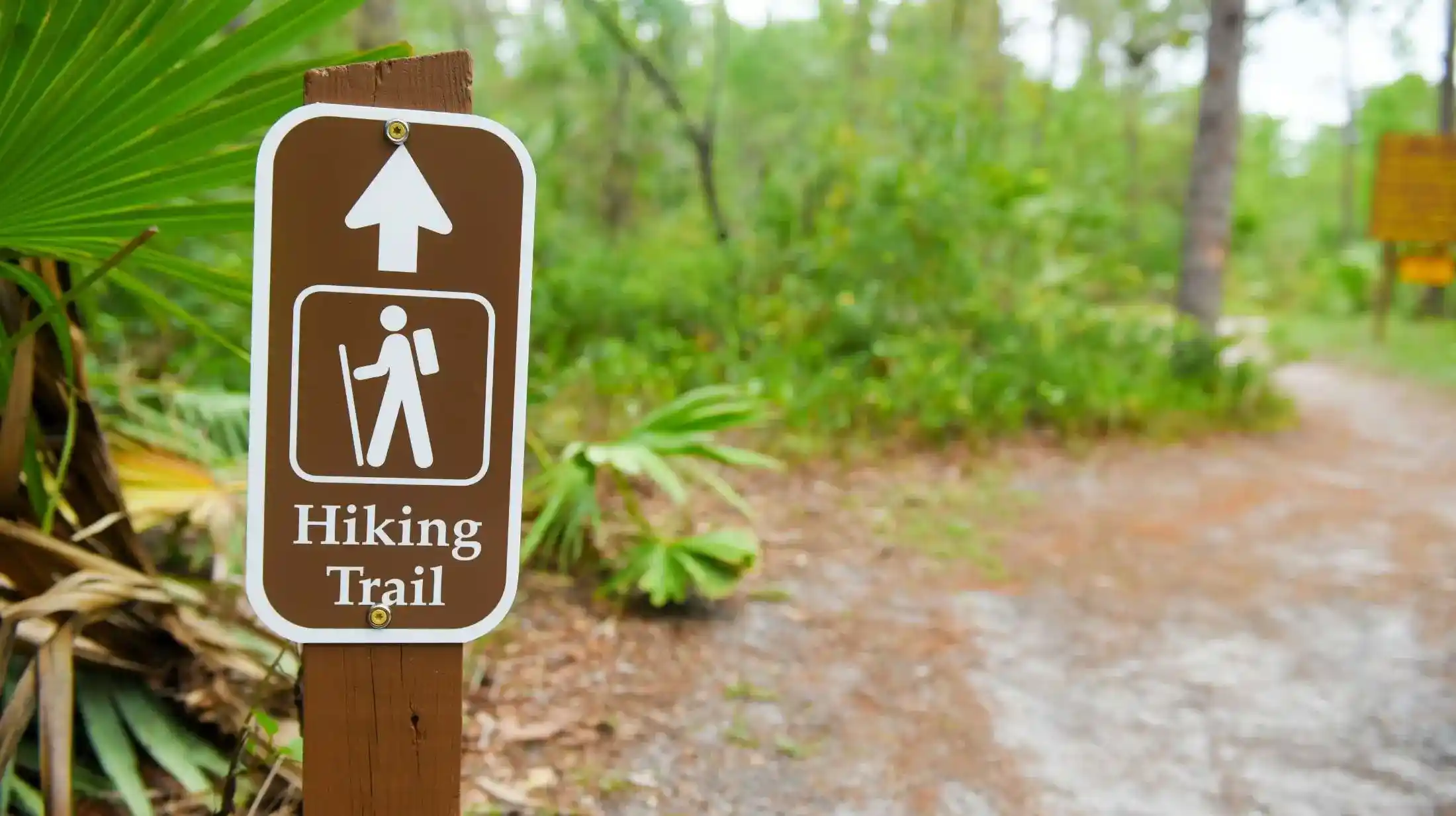 Hiking trail cleanups protect ecosystems and keep outdoor spaces beautiful. By cleaning up a local hiking trail, you can preserve nature and ensure trails remain safe and enjoyable for all.