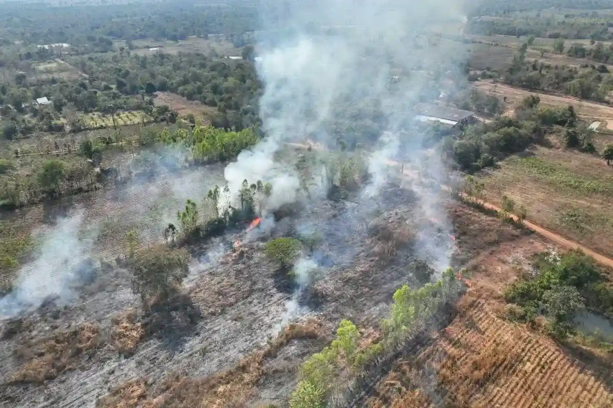 Deforestation worsens global air quality by removing natural air filters.