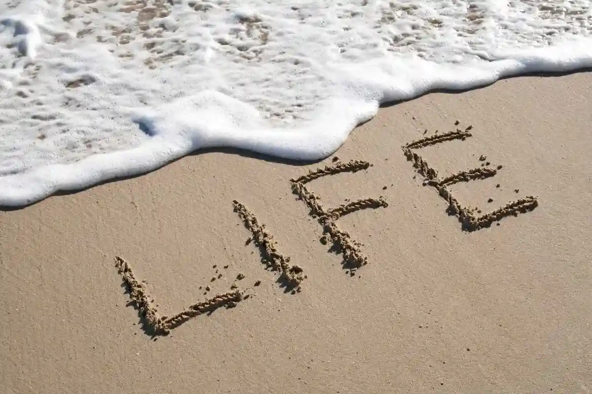 Explores the personal impact of climate change on plans and potential actions that can be taken to address global warming.