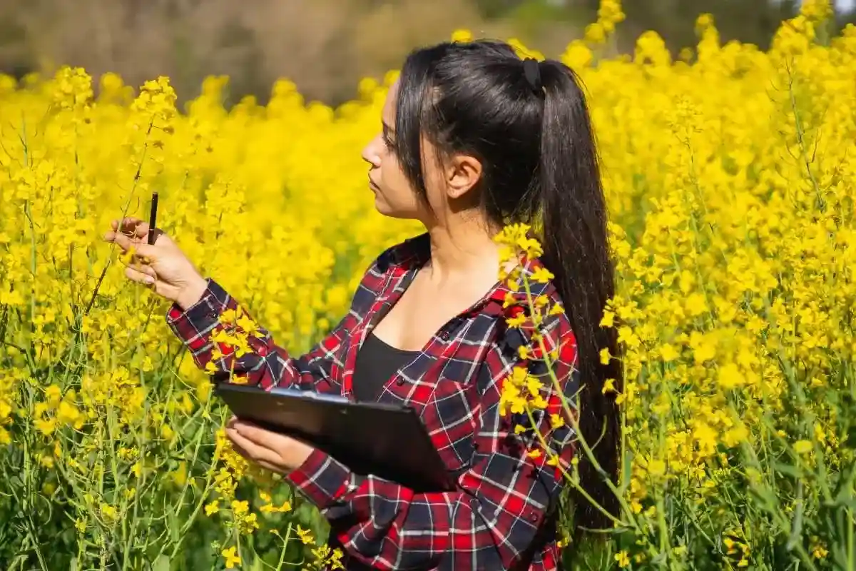 Discusses the significance of accessibility and equity in the development of a sustainable workforce, and explores social justice within the green job sector.