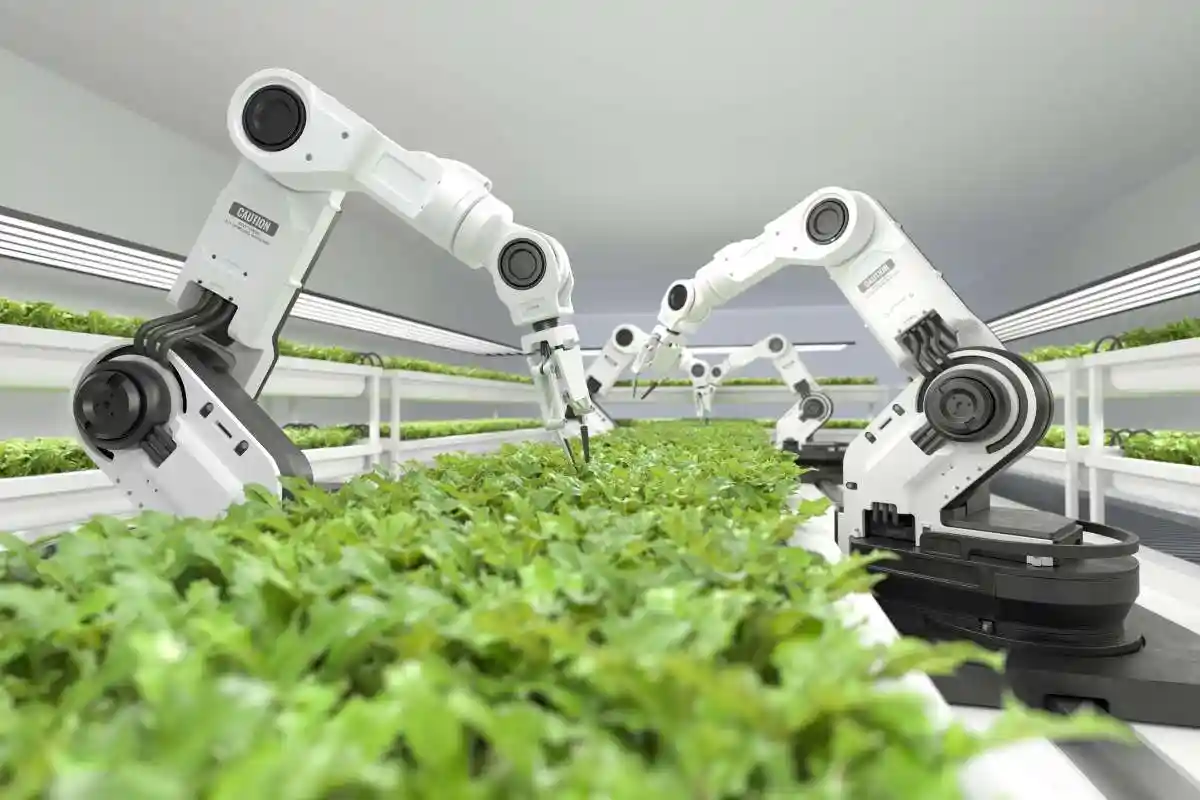 Artificial intelligence in Agriculture