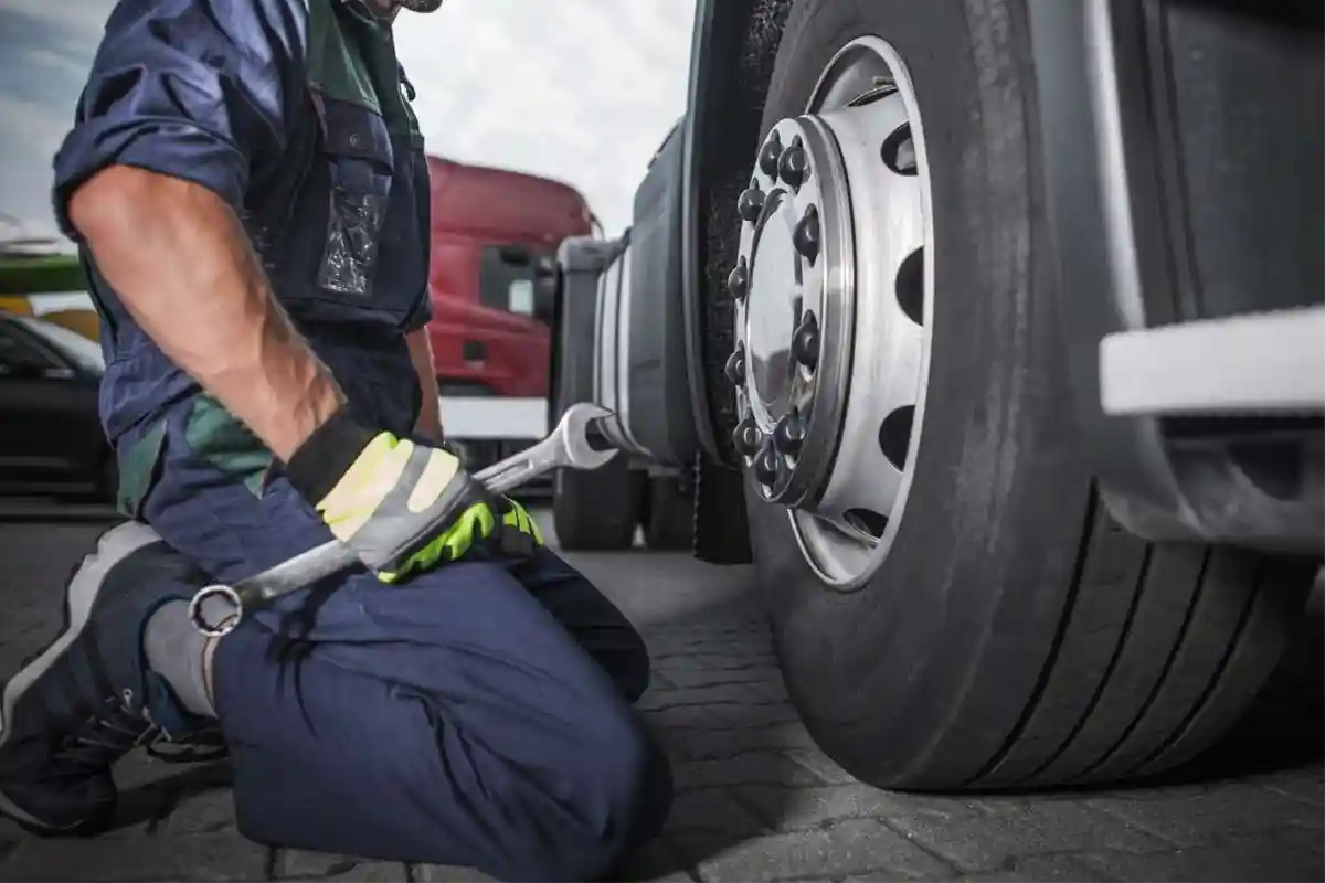 How Car Tires Drive Deforestation