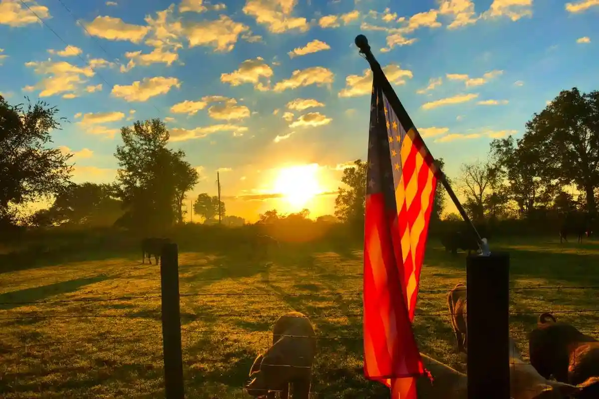 America and Climate Change: Denial, Progress, and Political Divides