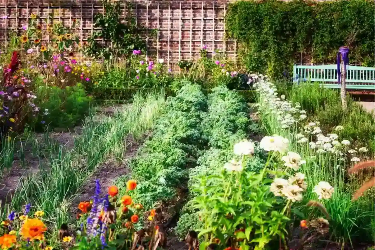 Urban Gardening for Beginners