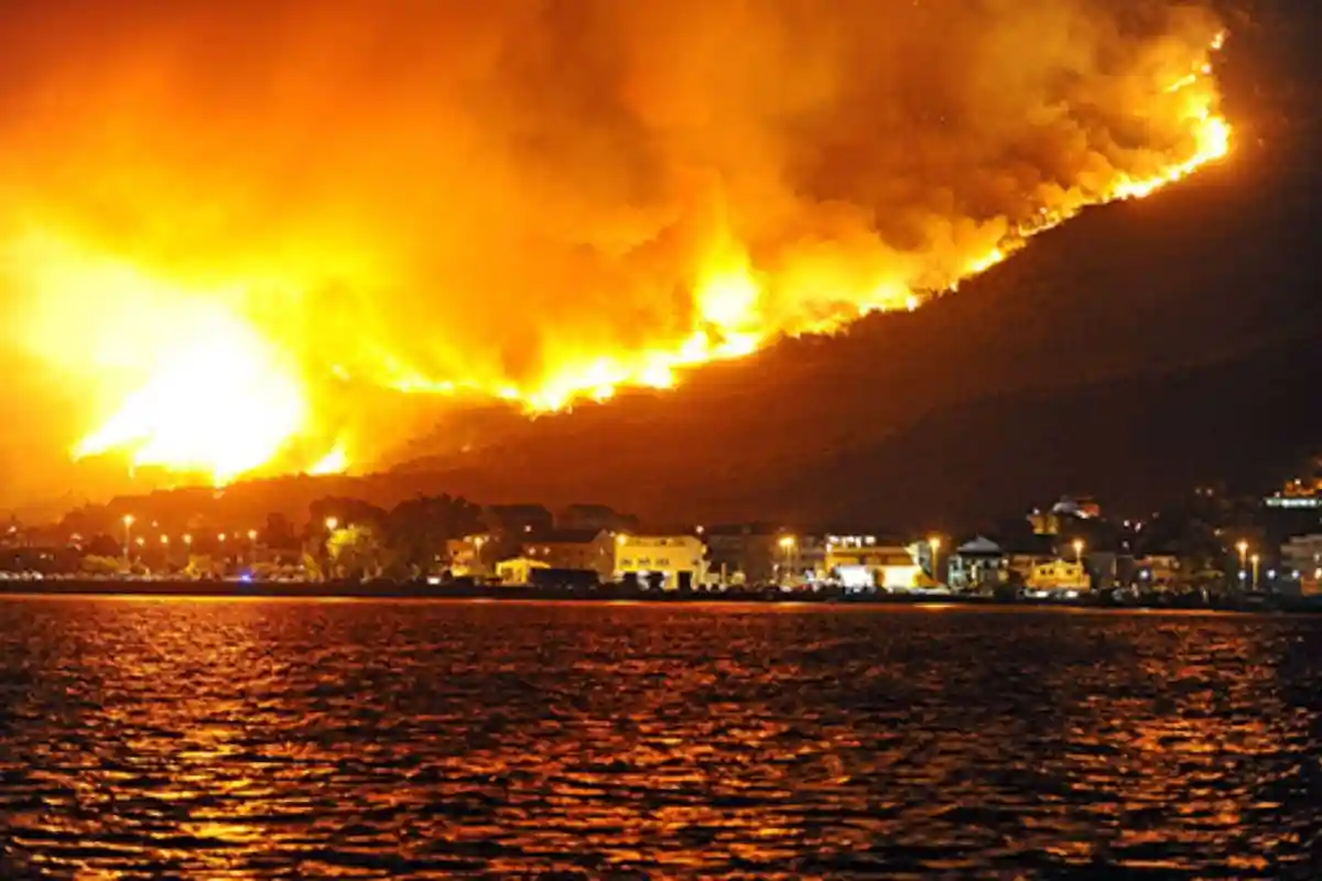 Wildfires: Environmental and Social Entanglements