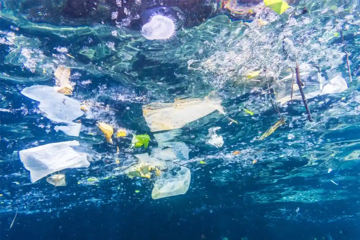 Ocean Conservation and Plastic Pollution