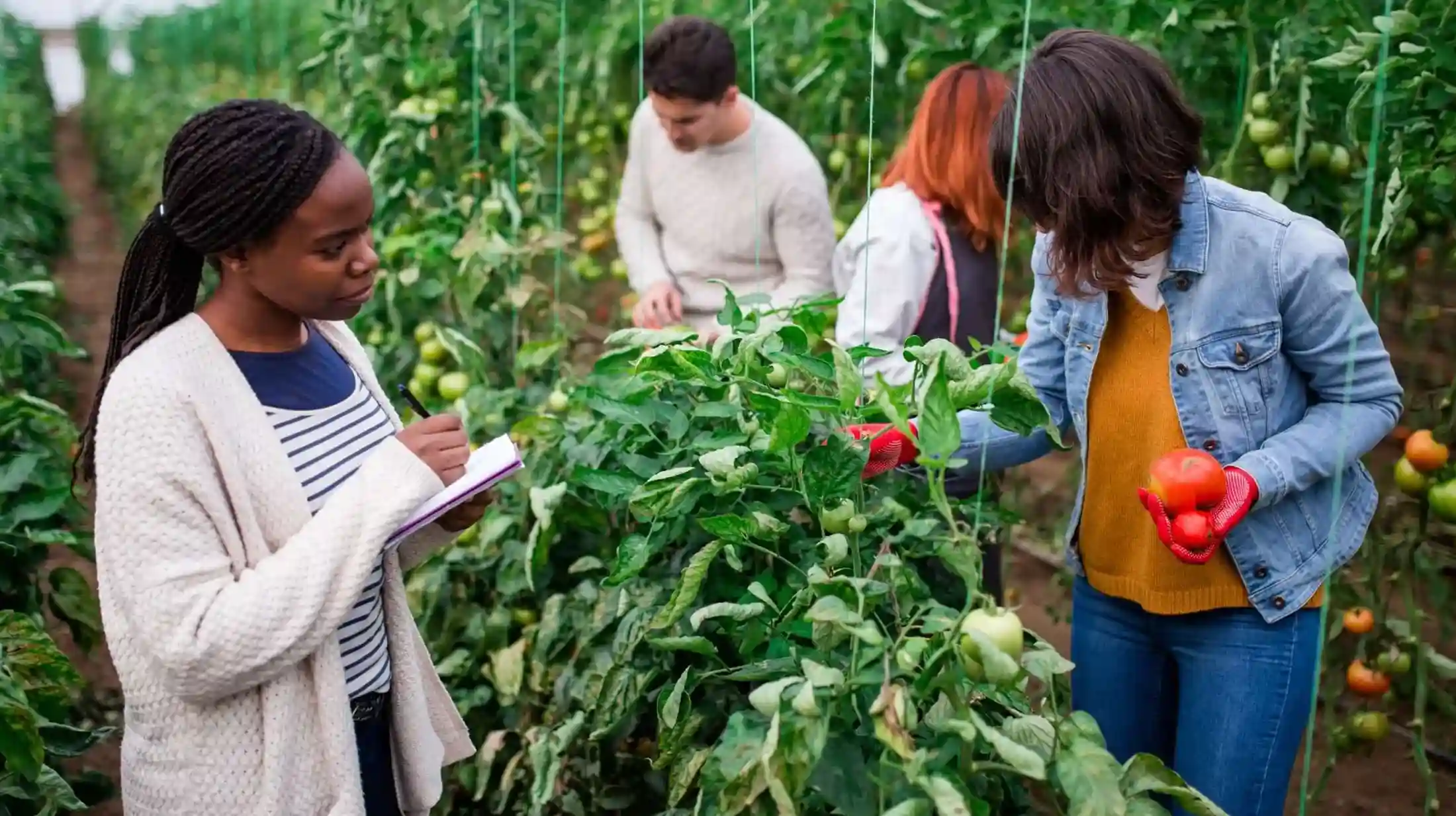 careers themed image tied to renewable energy and environmental work