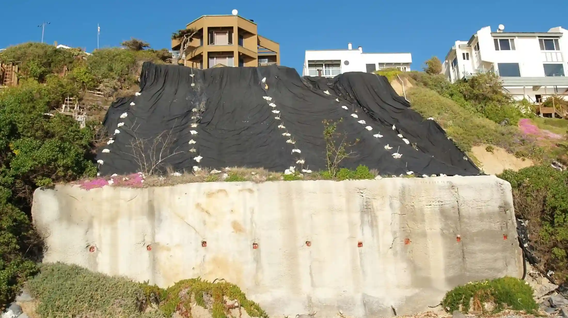 visual showing how financial decisions and climate impacts connect