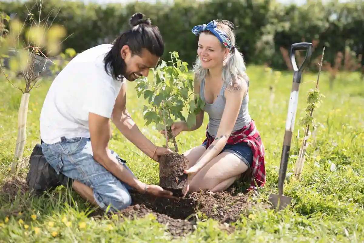 Planting a tree combats climate change, improves air quality, and supports wildlife. Help create a positive impact on the environment by planting a tree.