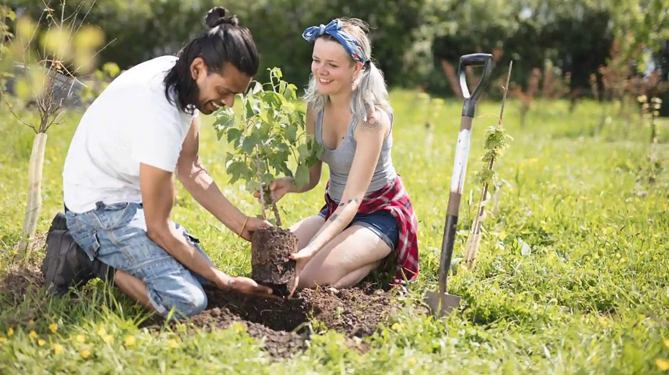 Planting a tree combats climate change, improves air quality, and supports wildlife. Help create a positive impact on the environment by planting a tree.