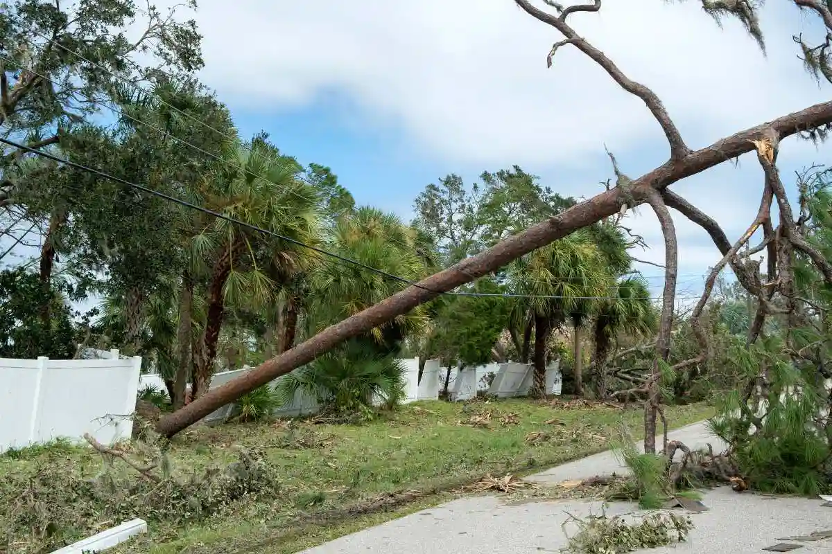 Down tree and damage to neighborhood and fences after a storm