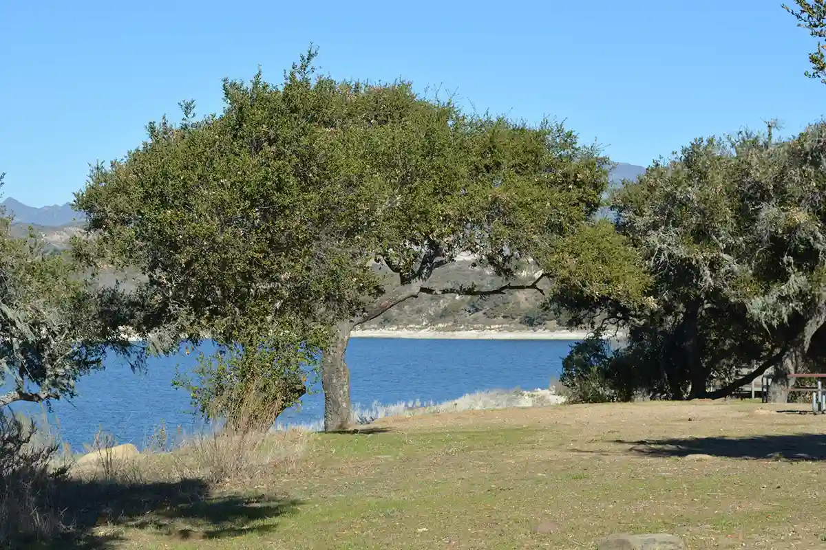 Madera County lake cleanup project for community service hours