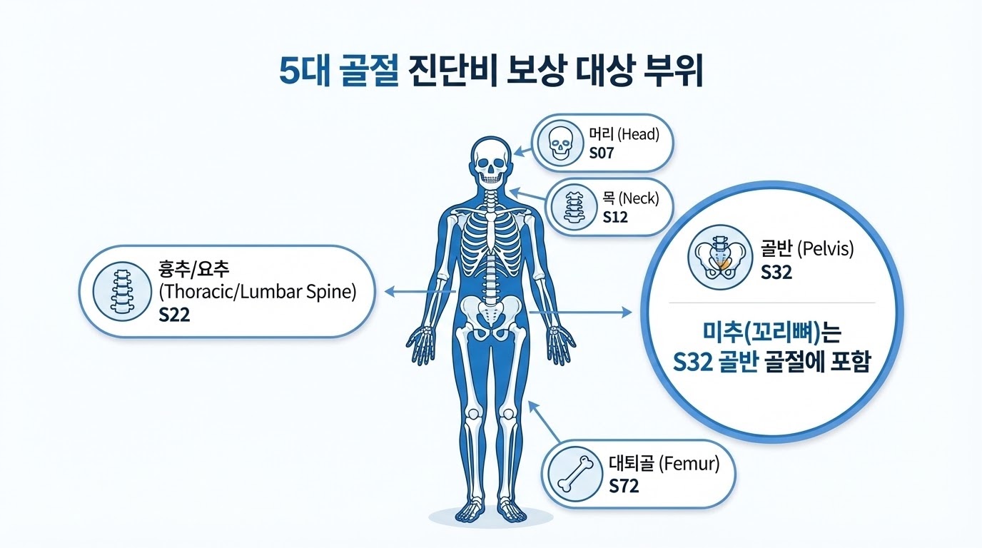 5대 골절 진단비 보상 대상 및 분류번호