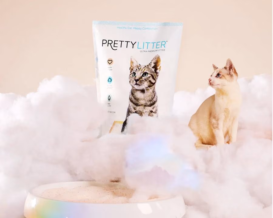 PrettyLitter products displayed alongside cats