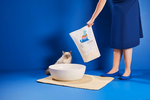 A person in a blue dress and blue shoes holding a bag of cat litter over a white cat litter box with a gray and white cat sitting nearby on a beige mat against a blue background.