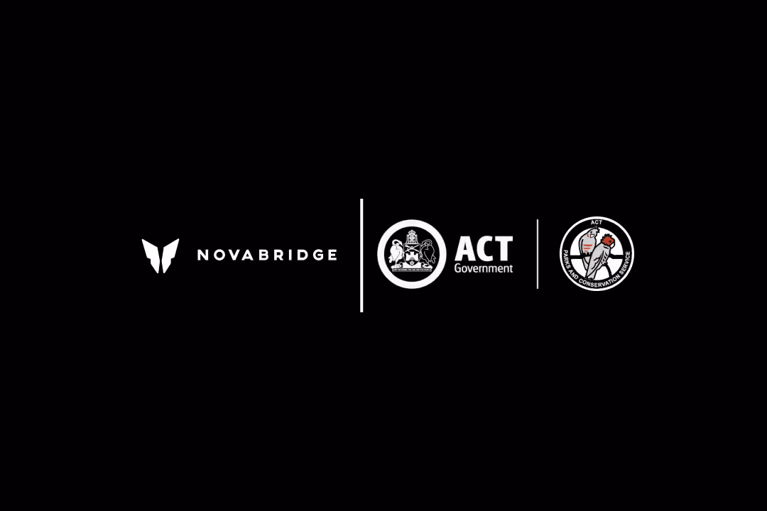 Novabridge x ACT government