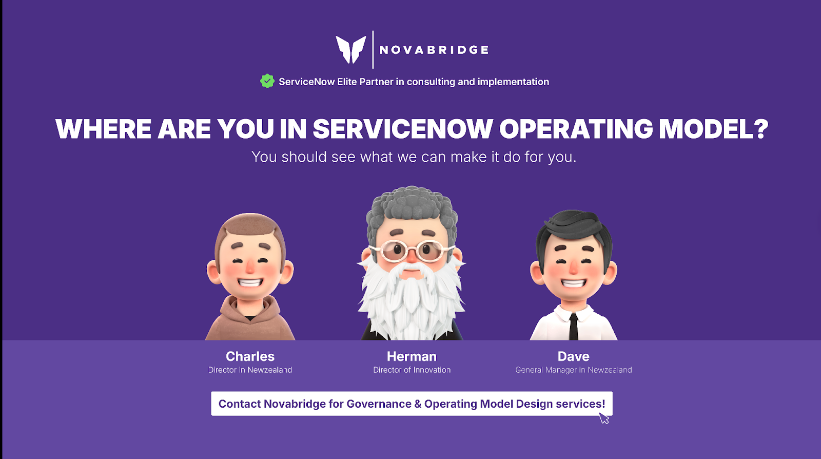 Novabridge consulting team