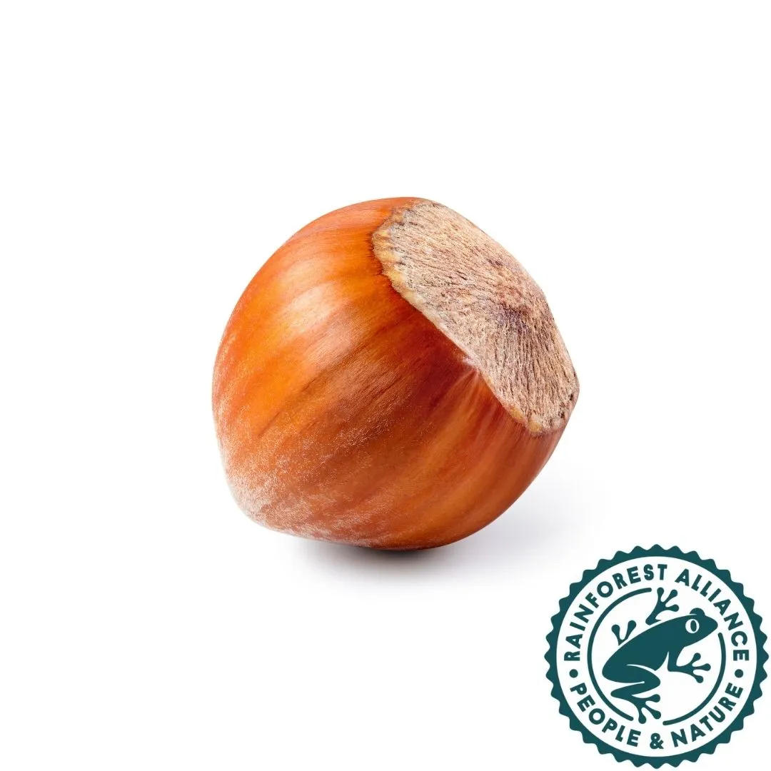 Burger with fried fries on black plate with sauce on the side