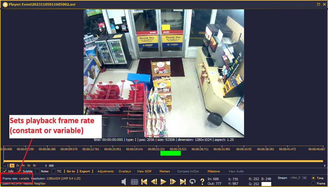 Constant or variable frame rate playback setting