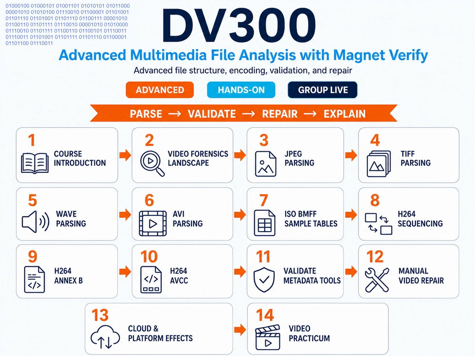 DV300 infographic