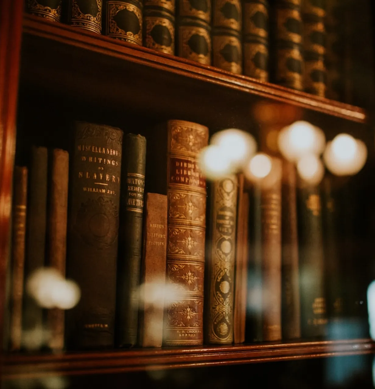 Gros plan sur une bibliothèque de livres