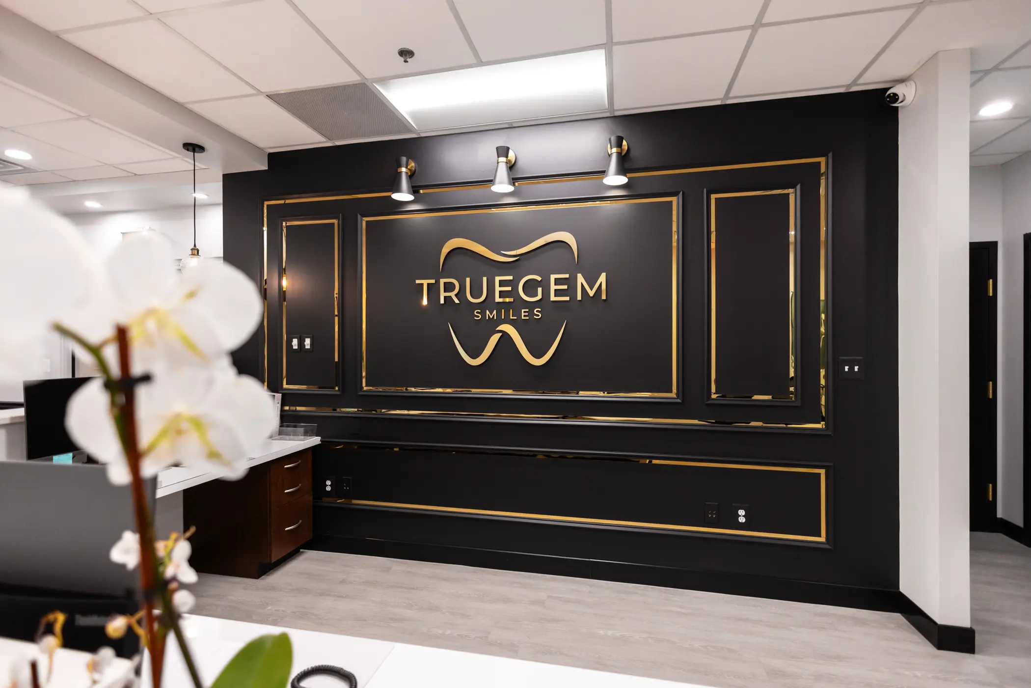 TrueGem Smiles, Leesburg VA