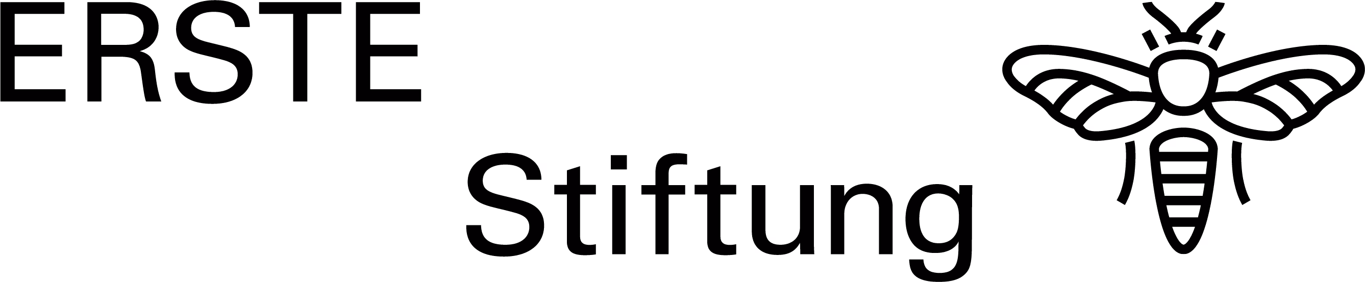 Logo Erste Stifung.