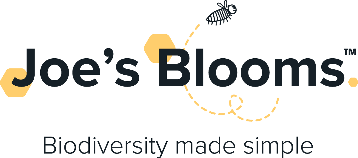 Joe's Blooms: From Zero to SEO Hero