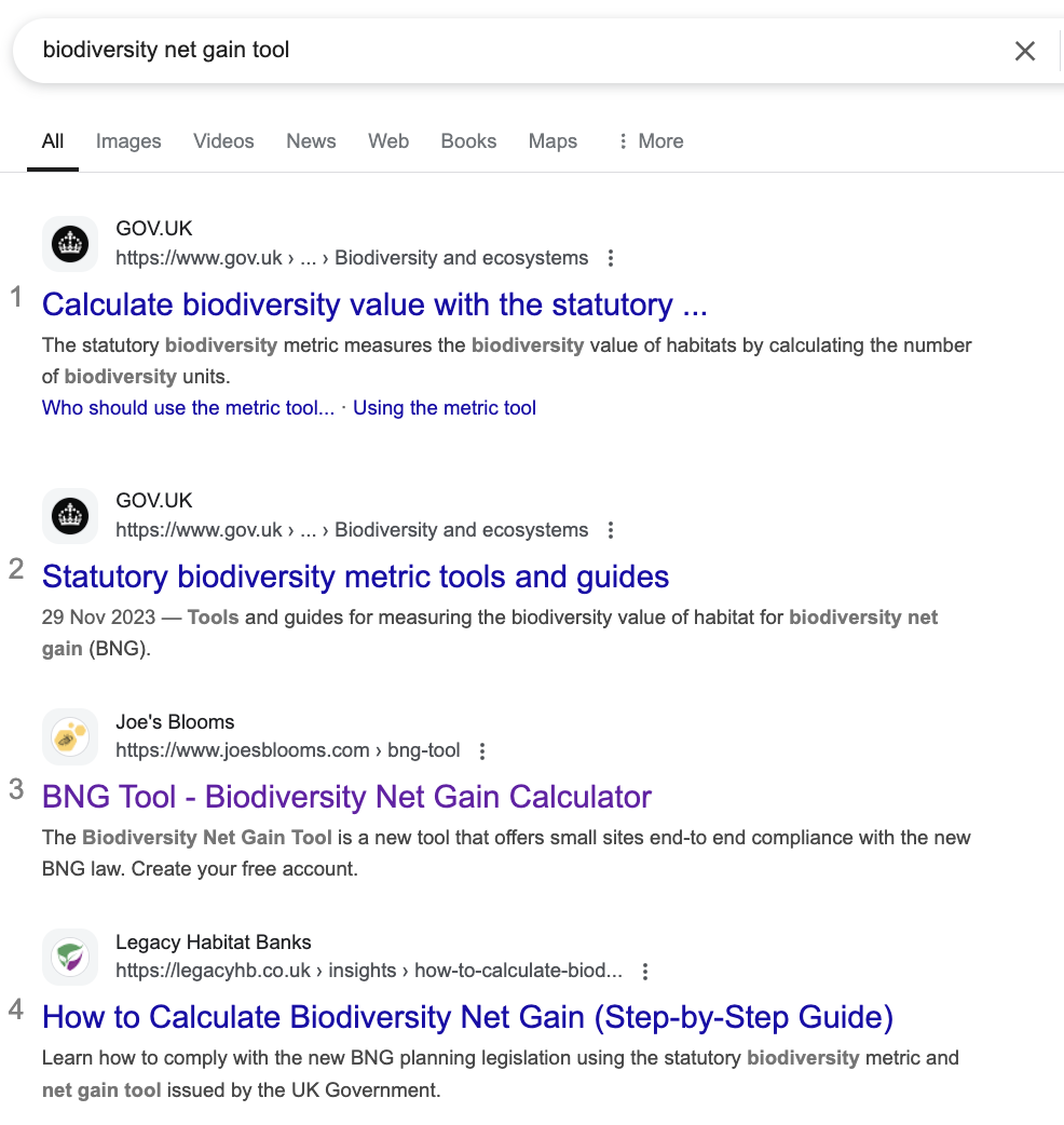Joe's Blooms: From Zero to SEO Hero
