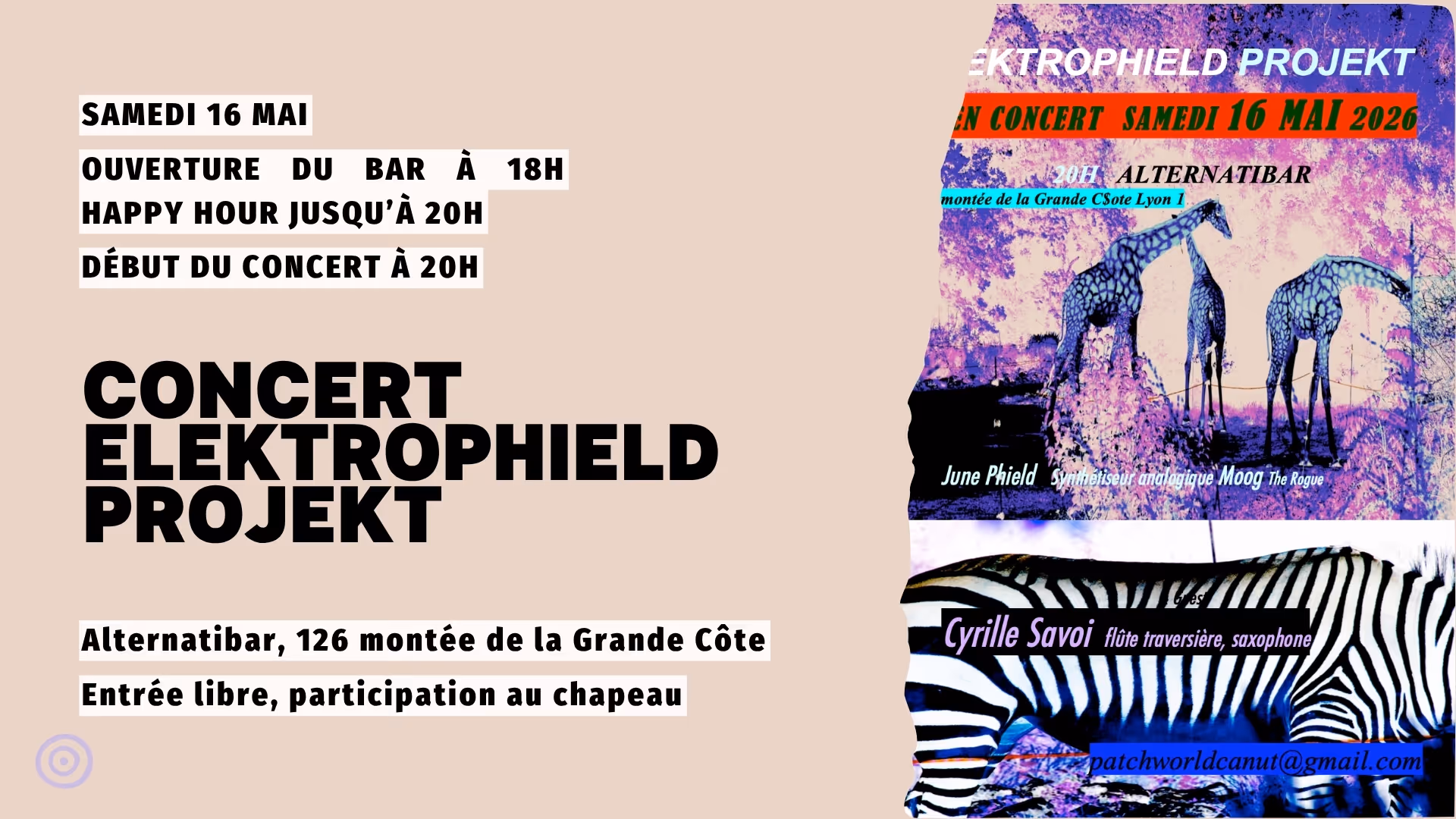 Concert Elektrophield Projekt