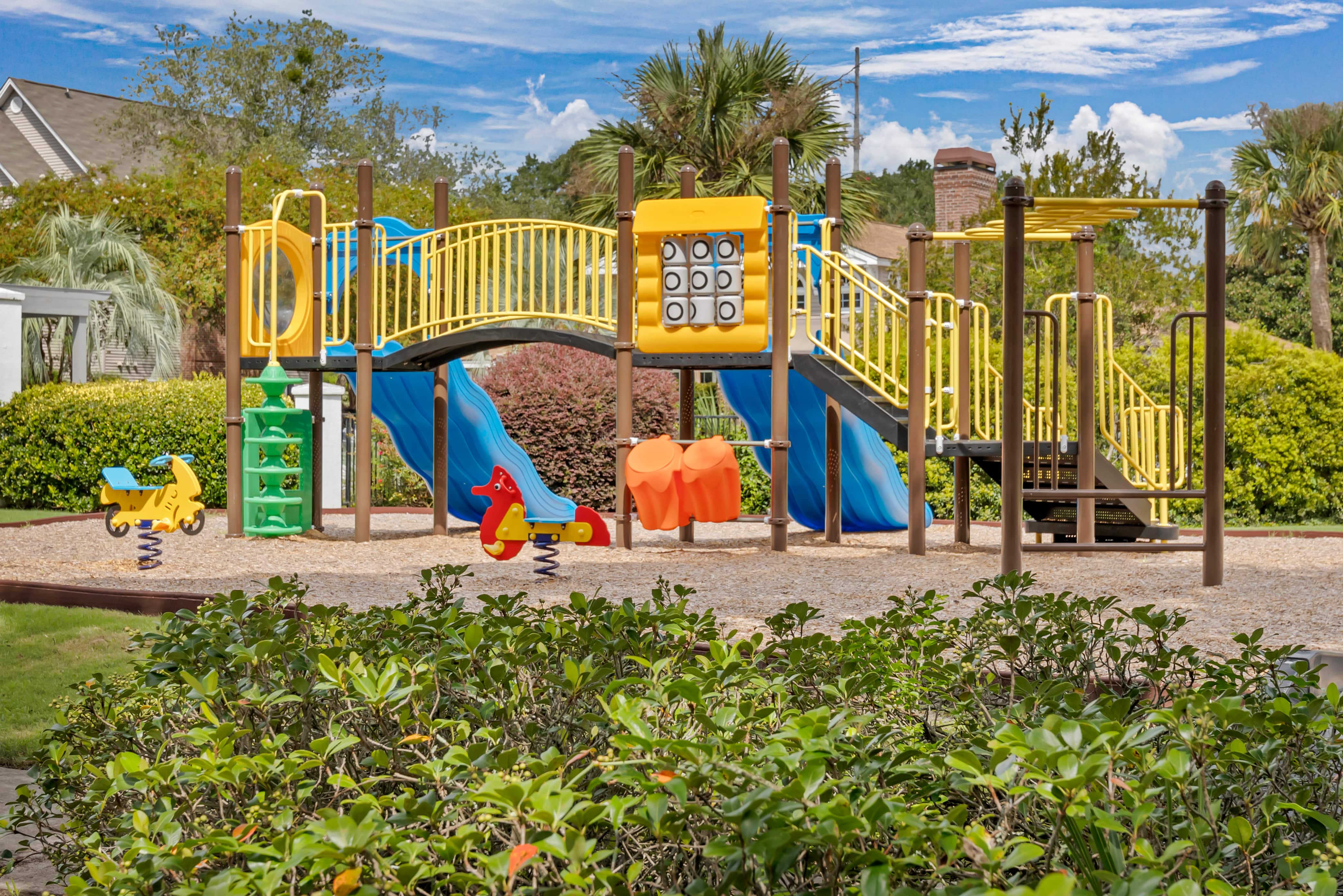 playground 