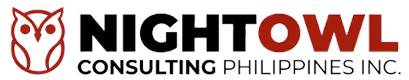 NightOwl Cosnulting logo