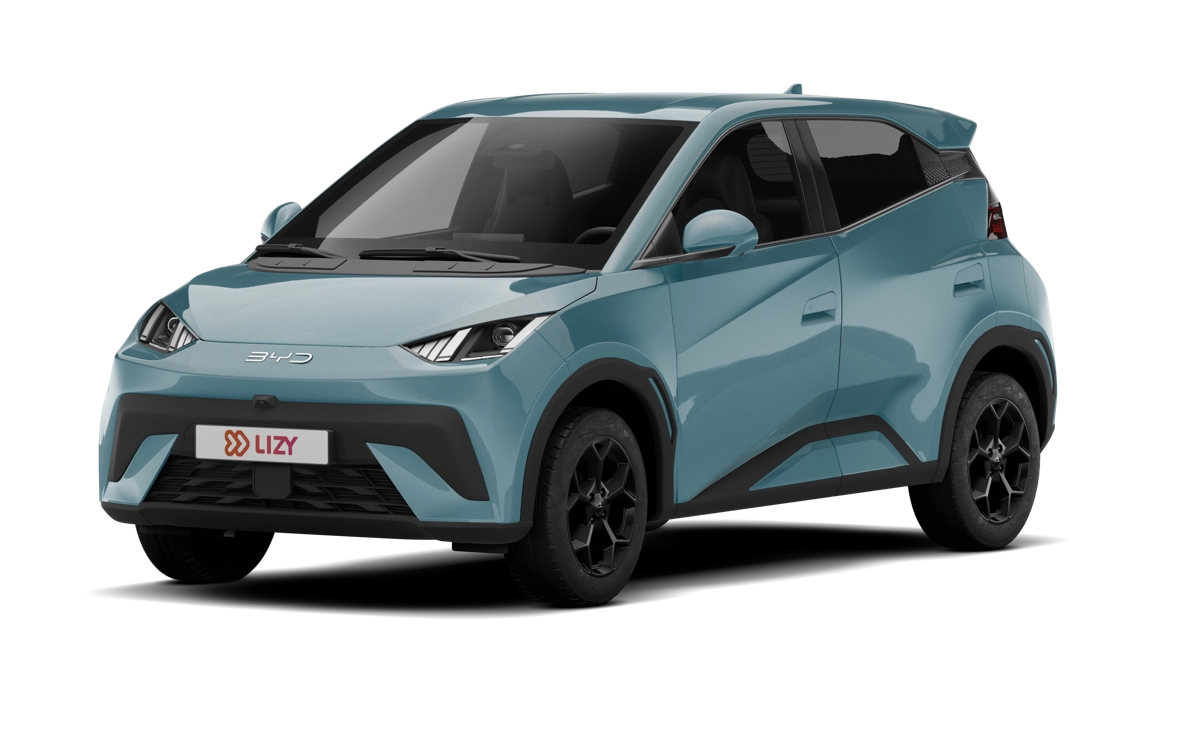 Een berggrasgroene BYD Dolphin Surf met LIZY nummerplaat.