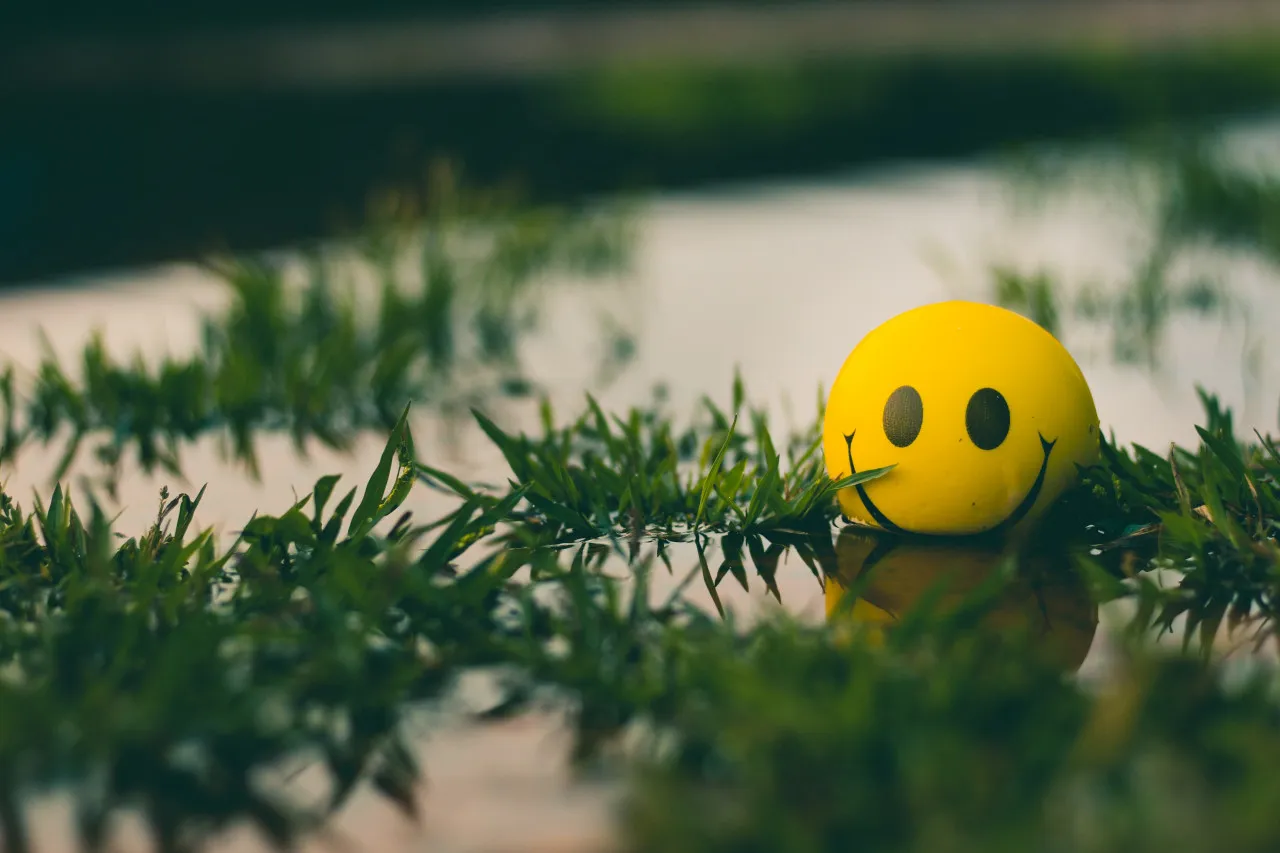 A smiley face ball sitting on a grassy area surrounded by water