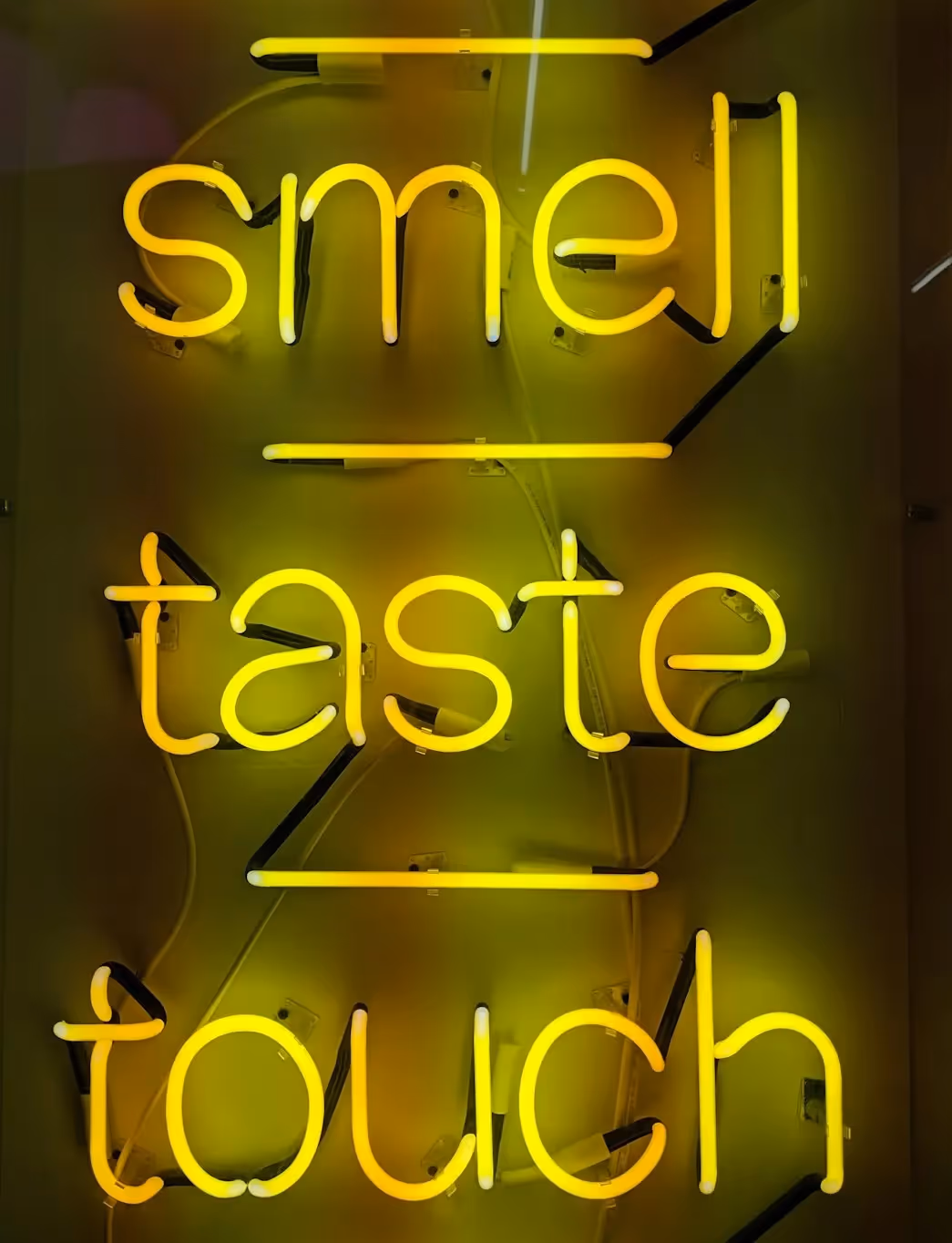 Neon sign that says Smell, Taste, Touch