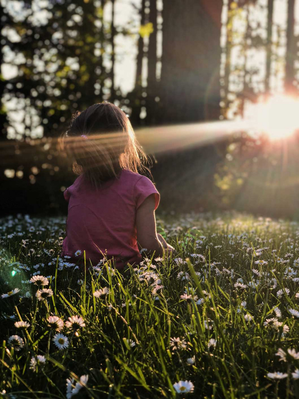 a child sitting in a field looking at trees