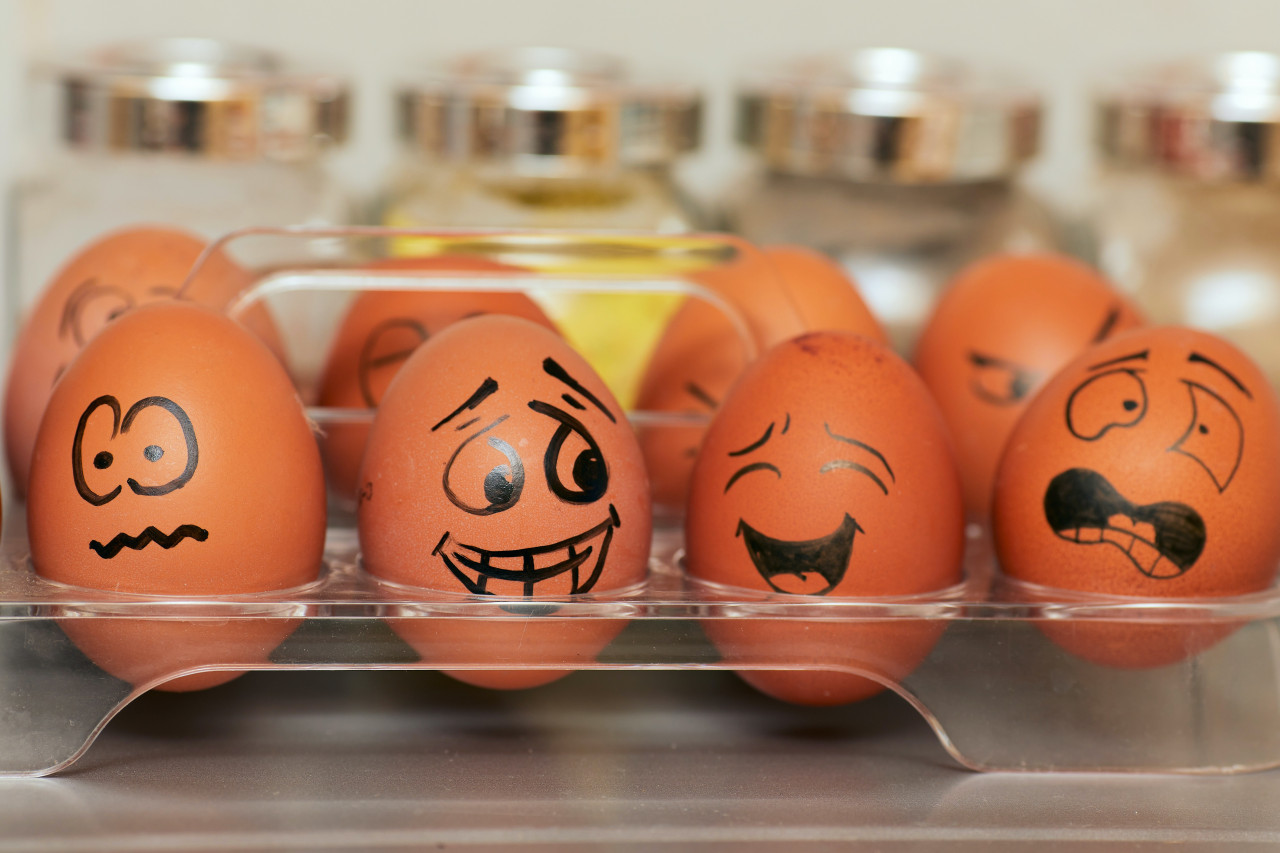 Eggs with different faces drawn on them.
