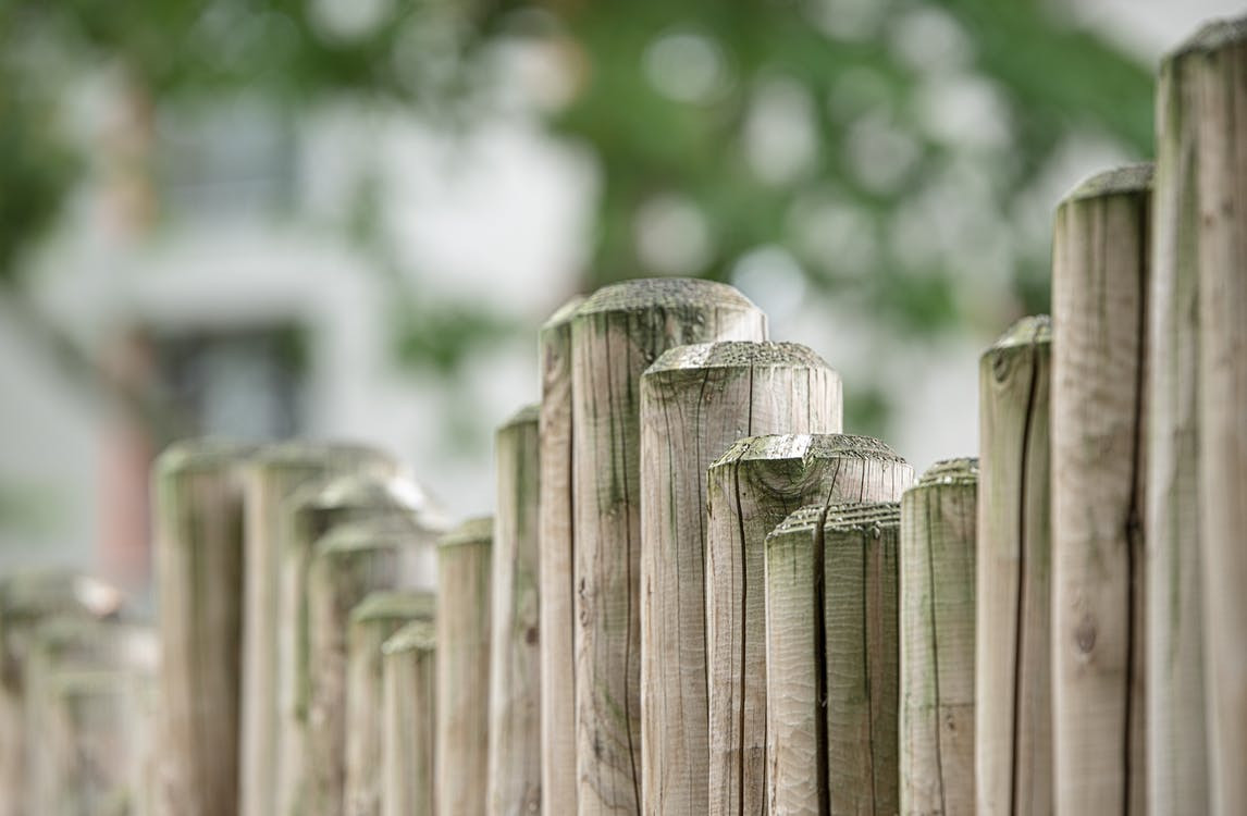 A line of wooden pillars