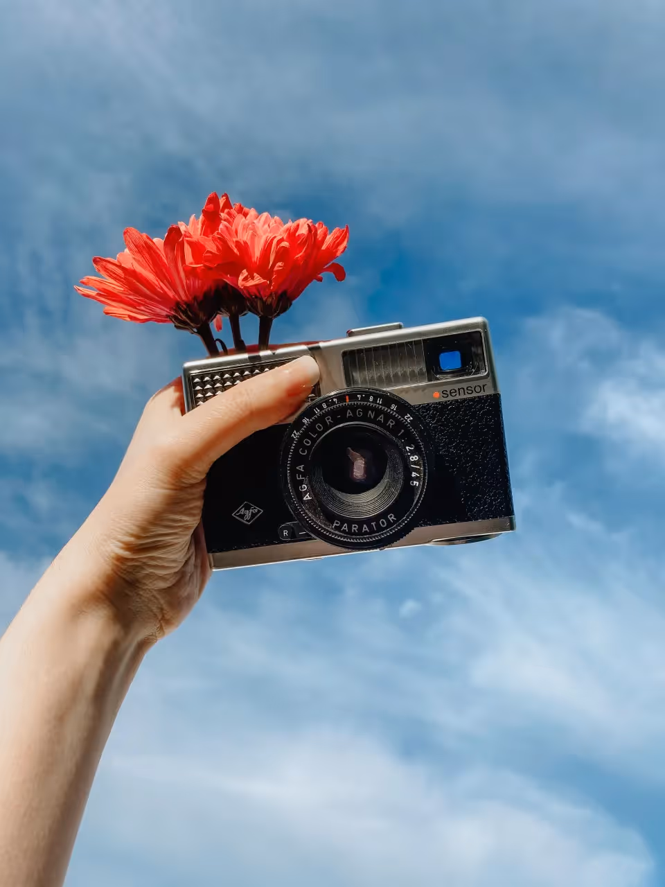 A person holding a camera with flowers.
