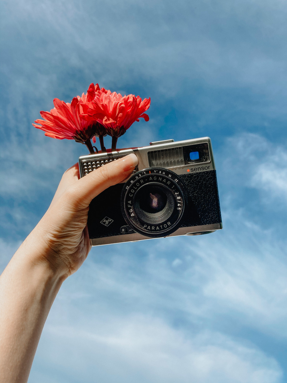 A person holding a camera with flowers.