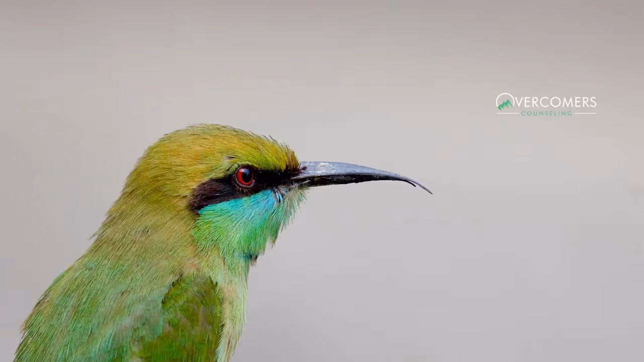 Tips for Living With Someone With Bipolar Disorder