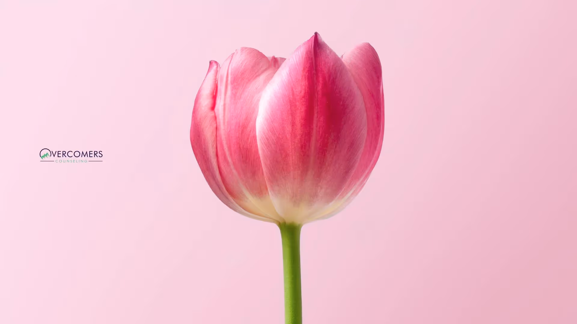 Ways to Manage Bipolar Hypersexuality